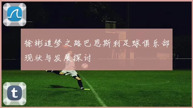 徐彬追梦之路巴恩斯利足球俱乐部现状与发展探讨