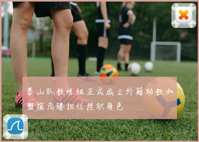 泰山队教练组正式成立外籍助教加盟宿茂臻担任挂职角色
